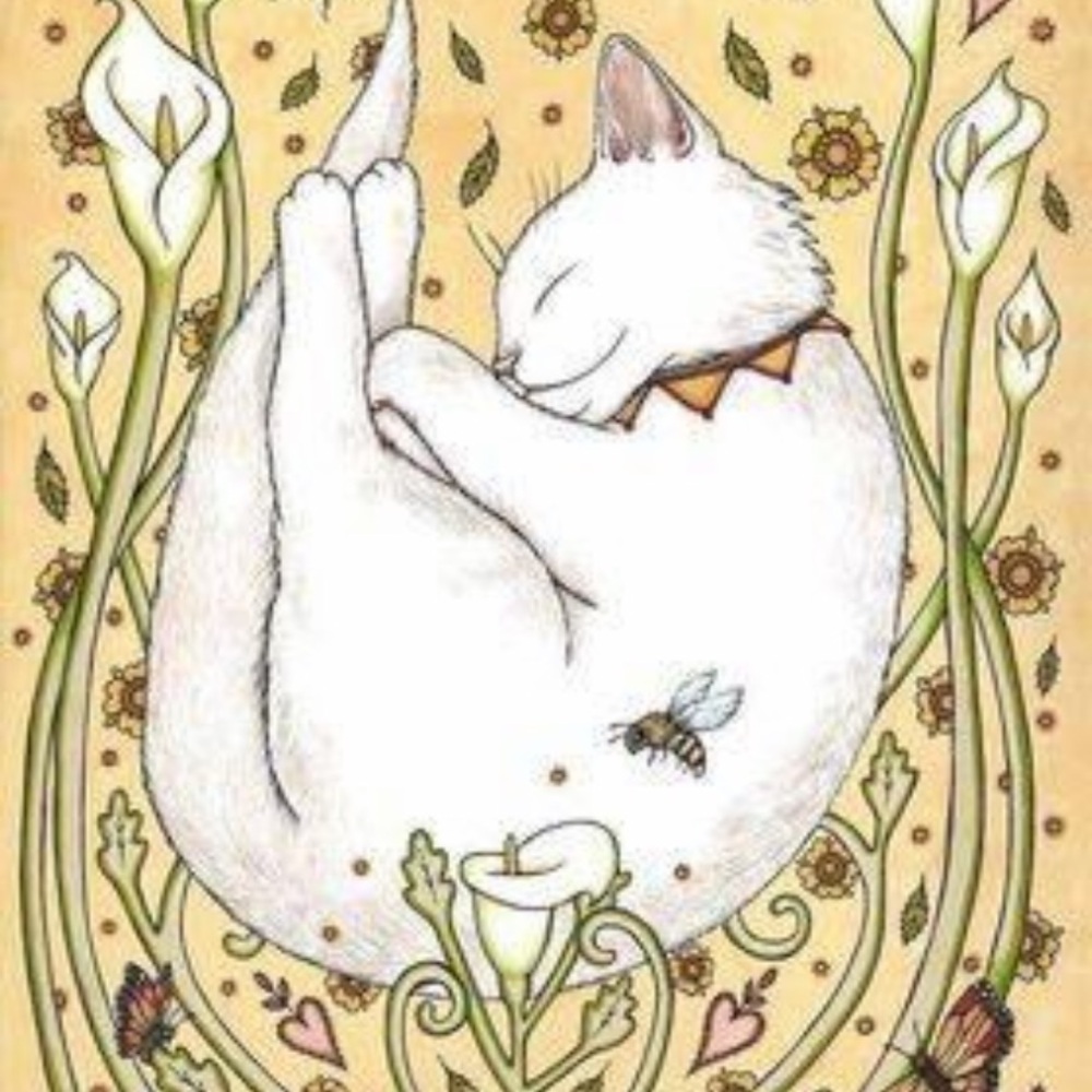 Unlisted Item - Live Posh Show